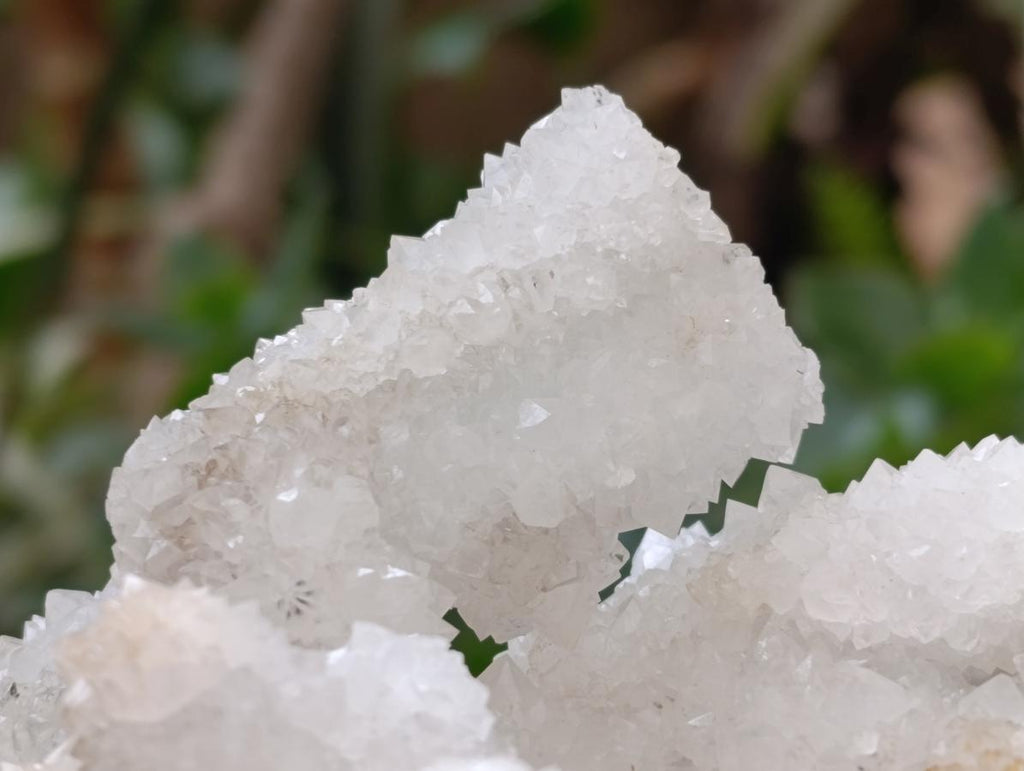 Natural Large Drusy Snow Finger Cluster x 1 From Albert's Mountain, Lesotho