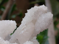 Natural Large Drusy Snow Finger Cluster x 1 From Albert's Mountain, Lesotho