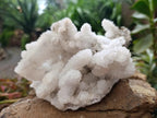 Natural Large Drusy Snow Finger Cluster x 1 From Albert's Mountain, Lesotho