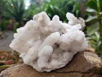 Natural Large Drusy Snow Finger Cluster x 1 From Albert's Mountain, Lesotho