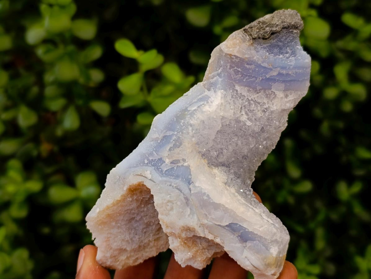 Natural Etched Blue Chalcedony Geodes x 6 From Nsanje, Malawi