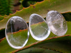 Polished Clear Quartz Crystal Galets x 35 From Madagascar