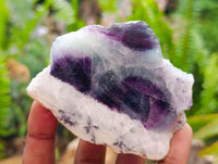 Polished On One Side Watermelon Fluorite Slices x 12 From Uis, Namibia