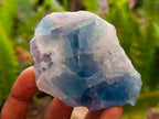 Polished On One Side Watermelon Fluorite Slices x 12 From Uis, Namibia