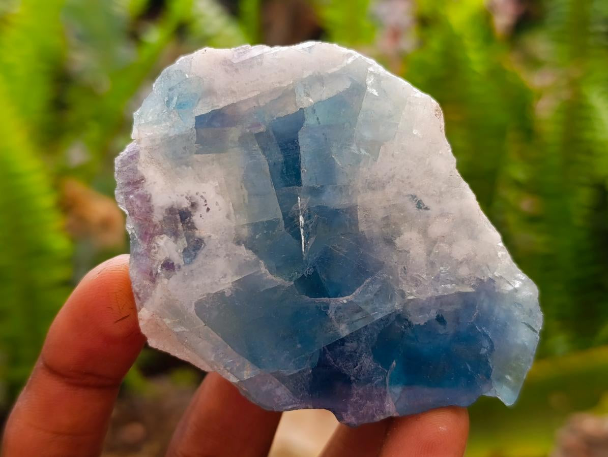 Polished On One Side Watermelon Fluorite Slices x 12 From Uis, Namibia