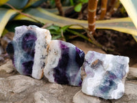 Polished On One Side Watermelon Fluorite Slices x 12 From Uis, Namibia