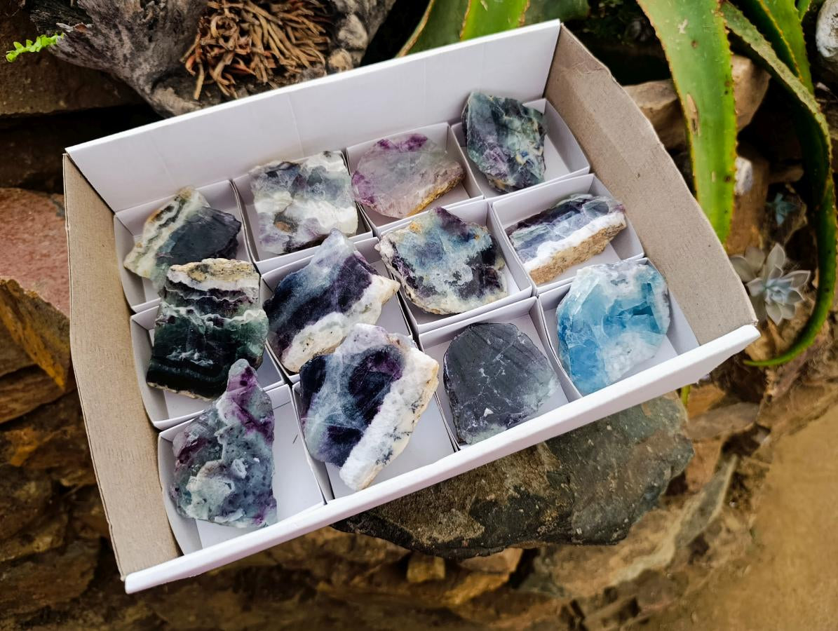 Polished On One Side Watermelon Fluorite Slices x 12 From Uis, Namibia