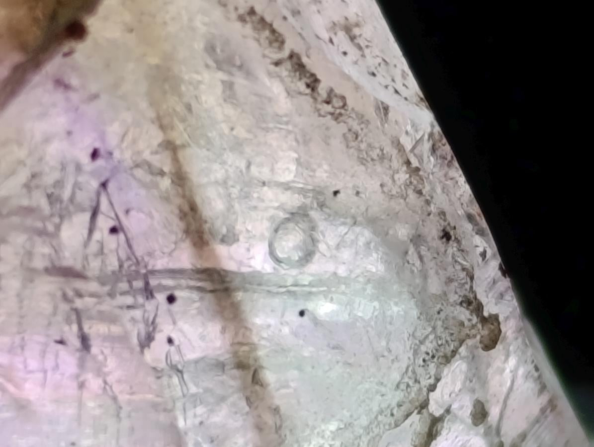 Natural Window Amethyst Crystals x 24 From Chiredzi, Zimbabwe