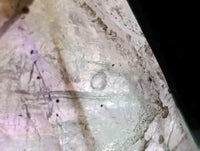 Natural Window Amethyst Crystals x 24 From Chiredzi, Zimbabwe