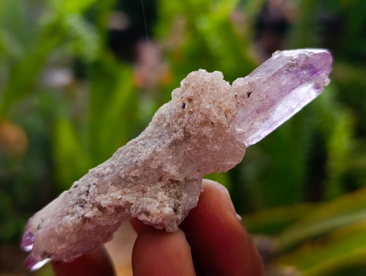 Natural Window Amethyst Crystals x 24 From Chiredzi, Zimbabwe