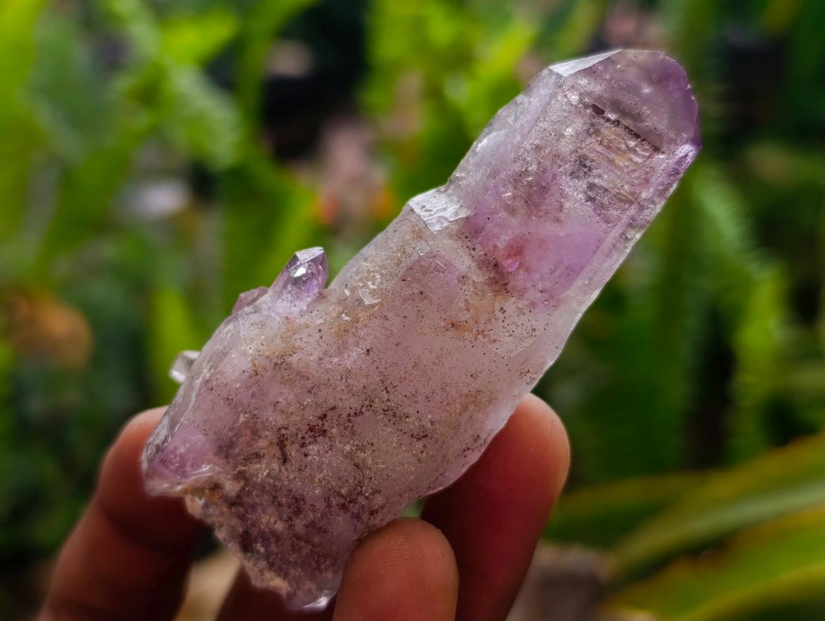 Natural Window Amethyst Crystals x 24 From Chiredzi, Zimbabwe
