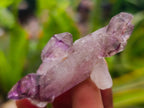 Natural Window Amethyst Crystals x 24 From Chiredzi, Zimbabwe