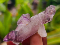 Natural Window Amethyst Crystals x 24 From Chiredzi, Zimbabwe