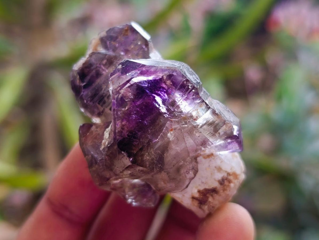Natural Window Amethyst Crystals x 24 From Chiredzi, Zimbabwe