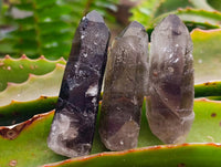 Natural Mix Of Aegirine, Orthoclase And Smokey Quartz Specimens x 30 From Zomba, Malawi