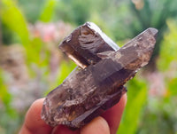 Natural Mix Of Aegirine, Orthoclase And Smokey Quartz Specimens x 30 From Zomba, Malawi