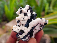 Natural Mix Of Aegirine, Orthoclase And Smokey Quartz Specimens x 30 From Zomba, Malawi