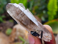 Natural Mix Of Aegirine, Orthoclase And Smokey Quartz Specimens x 30 From Zomba, Malawi