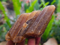 Natural Honey Aragonite Specimens x 12 From Namibia
