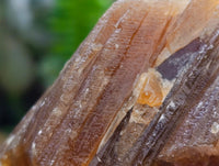 Natural Honey Aragonite Specimens x 12 From Namibia