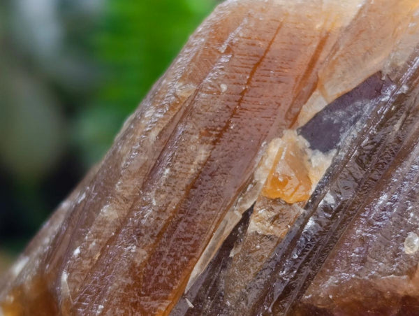 Natural Honey Aragonite Specimens x 12 From Namibia