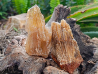 Natural Honey Aragonite Specimens x 12 From Namibia