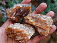 Natural Honey Aragonite Specimens x 12 From Namibia