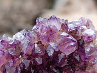 Natural Amethystos Amethyst Clusters x 35 From Kwaggafontein, South Africa