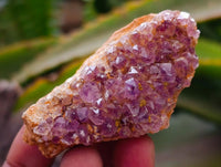 Natural Amethystos Amethyst Clusters x 35 From Kwaggafontein, South Africa