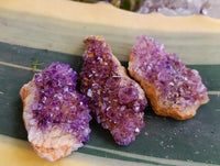 Natural Amethystos Amethyst Clusters x 35 From Kwaggafontein, South Africa