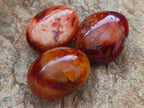Polished Carnelian Agate Gemstone Galets x 14 From Madagascar