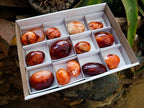 Polished Carnelian Agate Gemstone Galets x 14 From Madagascar