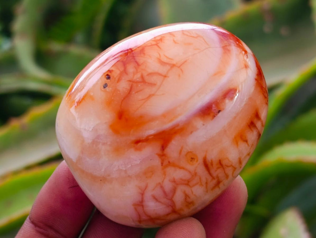 Polished Carnelian Agate Gemstone Galets x 14 From Madagascar