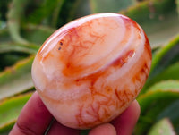 Polished Carnelian Agate Gemstone Galets x 14 From Madagascar