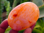 Polished Carnelian Agate Gemstone Galets x 14 From Madagascar
