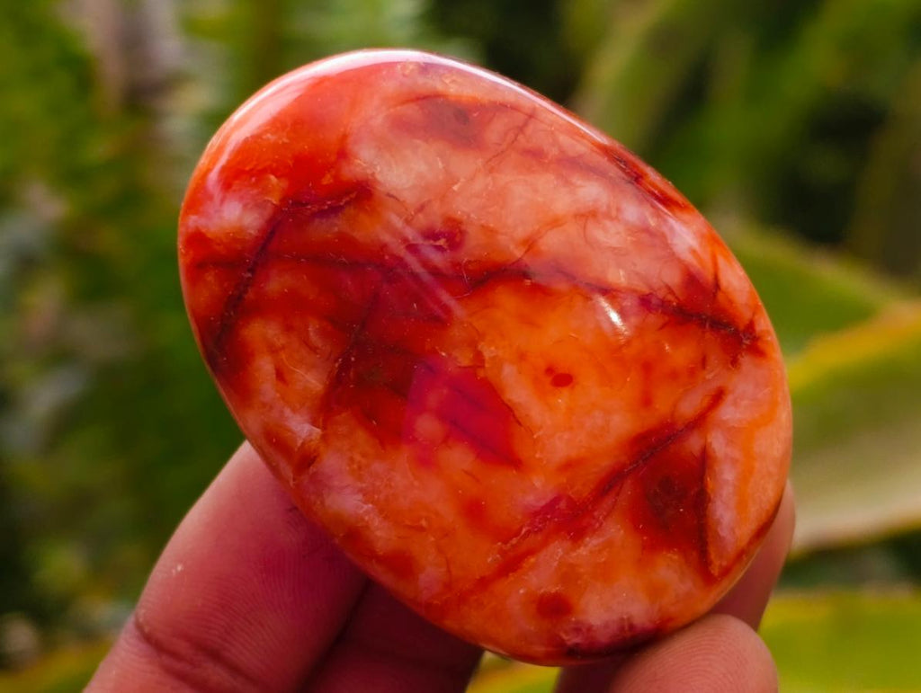 Polished Carnelian Agate Gemstone Galets x 14 From Madagascar