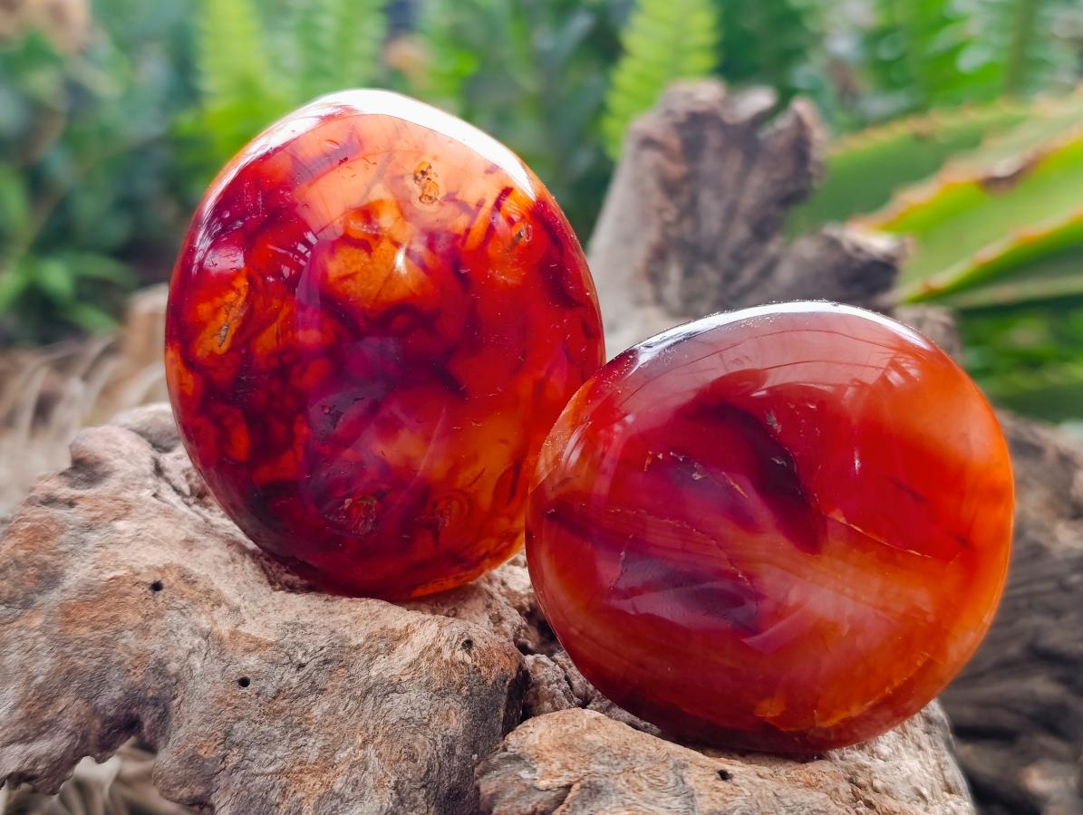 Polished Carnelian Agate Gemstone Galets x 14 From Madagascar