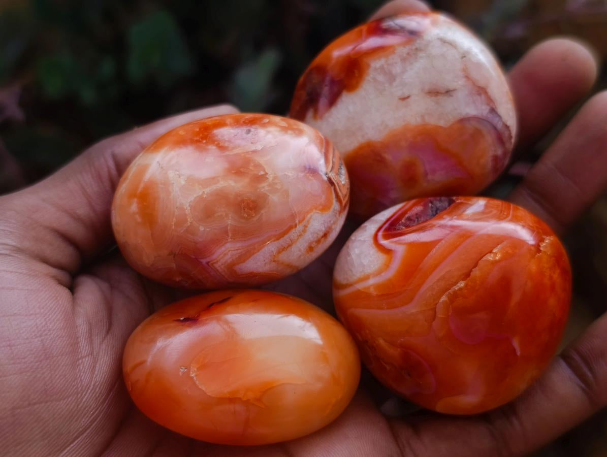 Polished Carnelian Agate Gemstone Galets x 14 From Madagascar