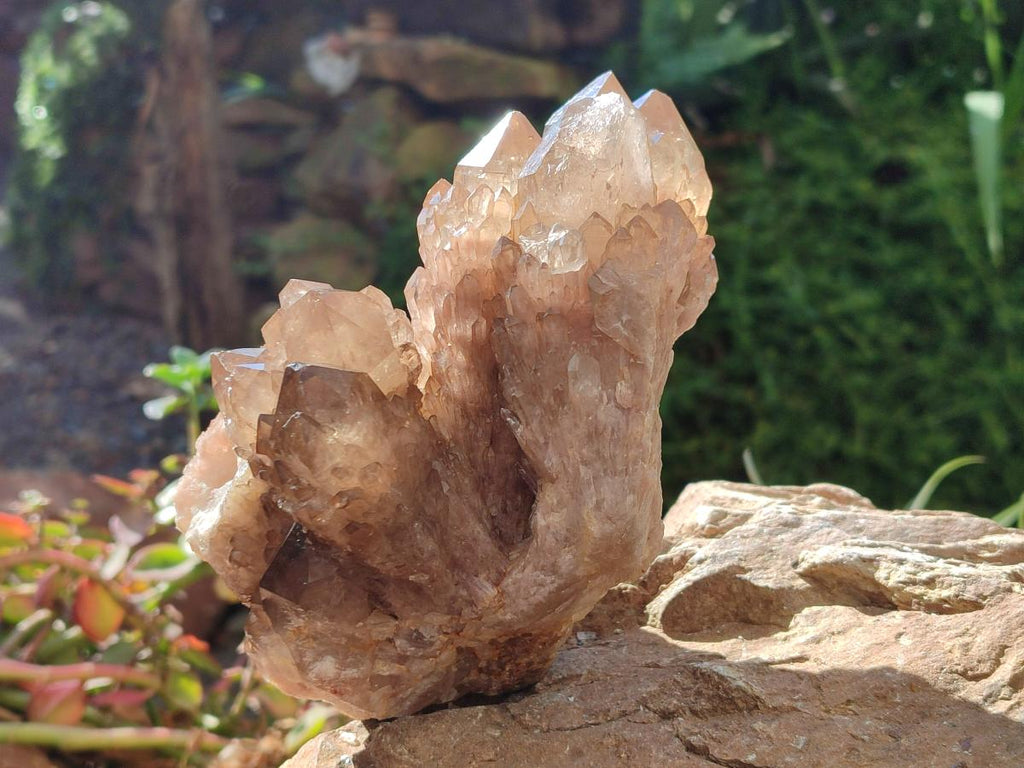 Natural Clear Smokey Citrine Quartz Cluster x 1 From Luena, Congo