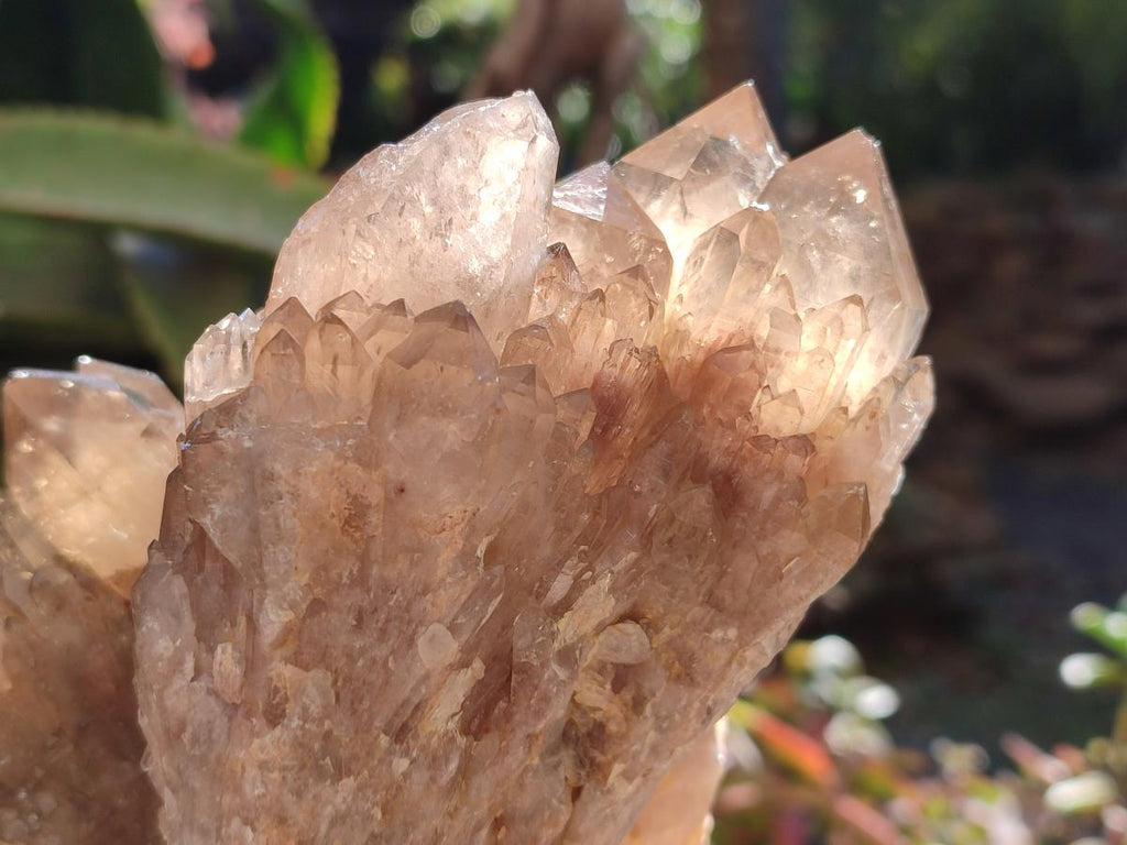 Natural Clear Smokey Citrine Quartz Cluster x 1 From Luena, Congo