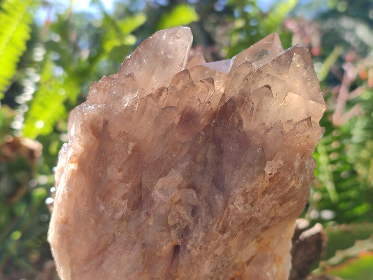 Natural Clear Smokey Citrine Quartz Cluster x 1 From Luena, Congo
