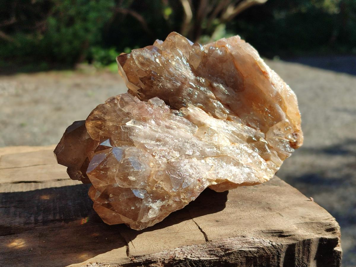 Natural Clear Smokey Citrine Quartz Cluster x 1 From Luena, Congo