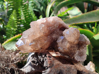 Natural Clear Smokey Citrine Quartz Cluster x 1 From Luena, Congo