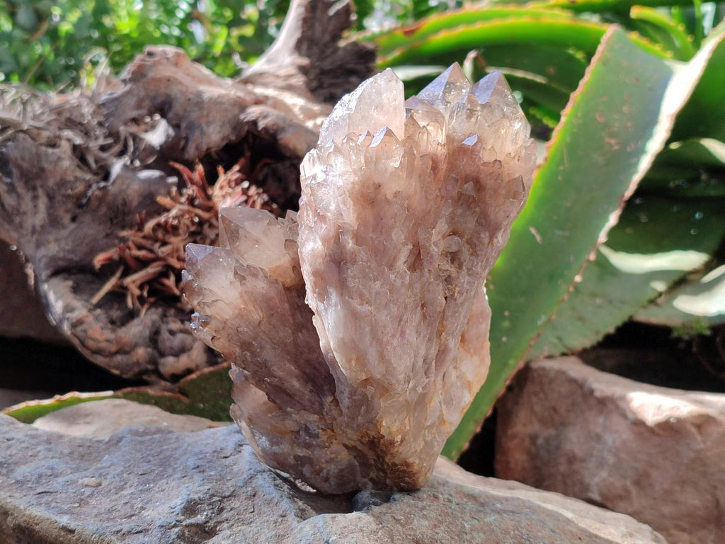 Natural Clear Smokey Citrine Quartz Cluster x 1 From Luena, Congo