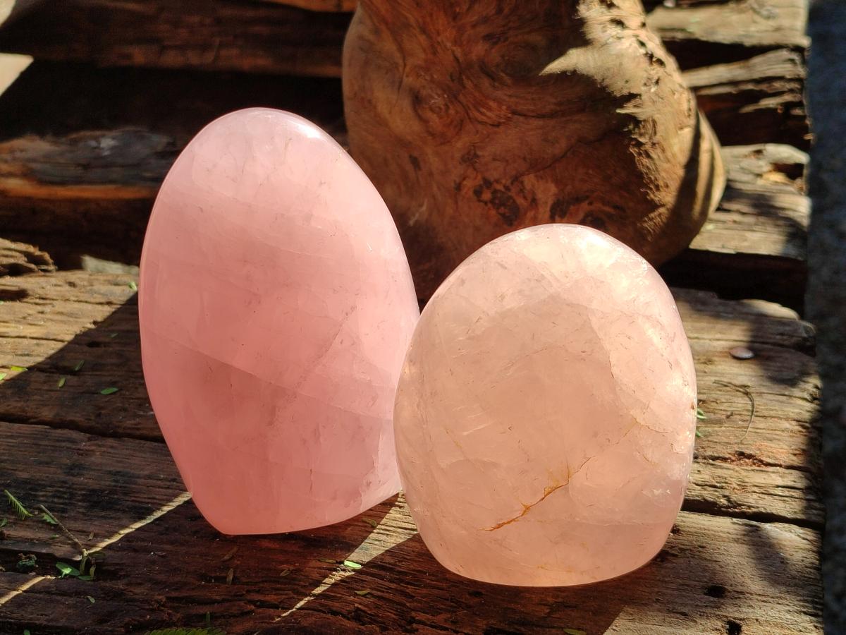 Polished Gemmy Rose Quartz Standing Free Forms x 3 From Madagascar