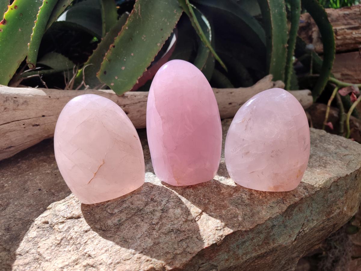 Polished Gemmy Rose Quartz Standing Free Forms x 3 From Madagascar