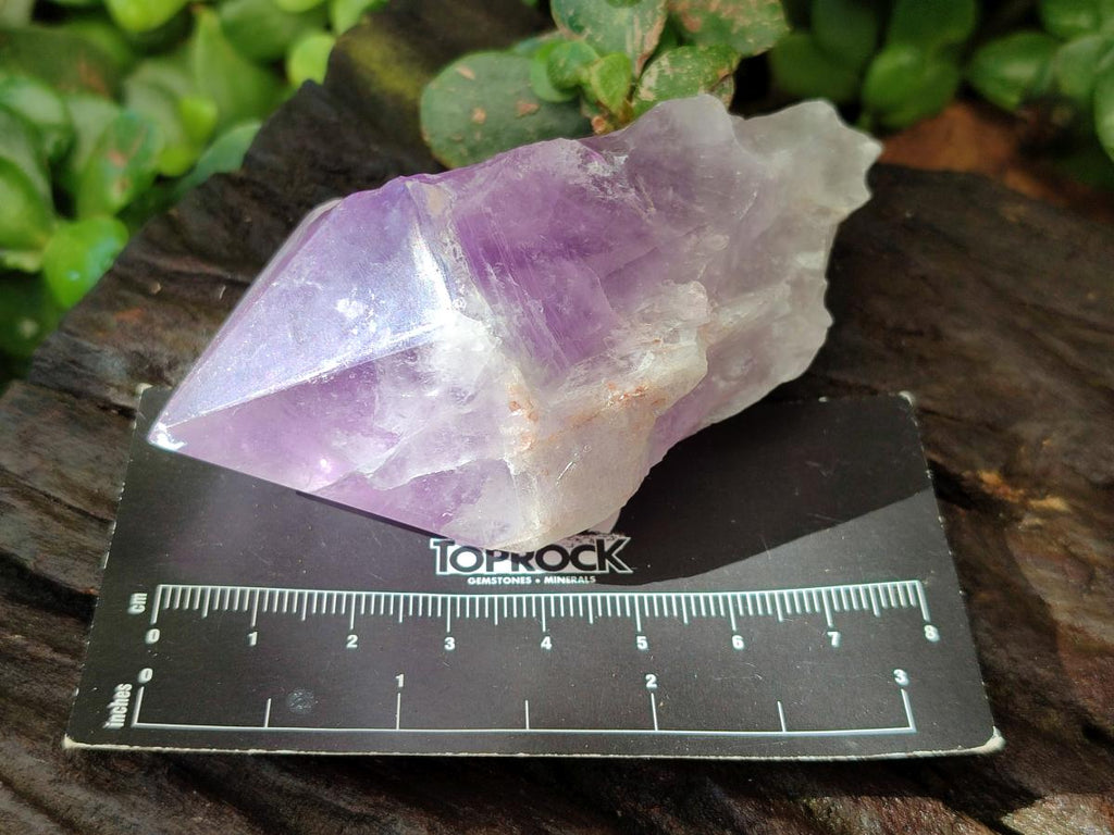 Polished Jacaranda Amethyst Crystals x 12 From Mumbwa, Zambia