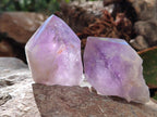 Polished Jacaranda Amethyst Crystals x 12 From Mumbwa, Zambia