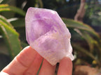 Polished Jacaranda Amethyst Crystals x 12 From Mumbwa, Zambia
