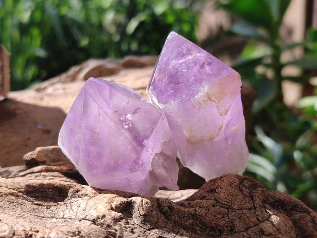 Polished Jacaranda Amethyst Crystals x 12 From Mumbwa, Zambia